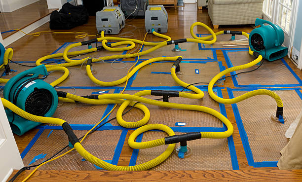 Professional Sewage Cleanup technician working in Clarks Grove, MN
